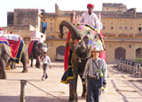 Amber Fort Jaipur