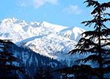 Himalayan View, Manali
